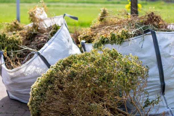 Trusted Streamwood, IL Junk Removal Experts